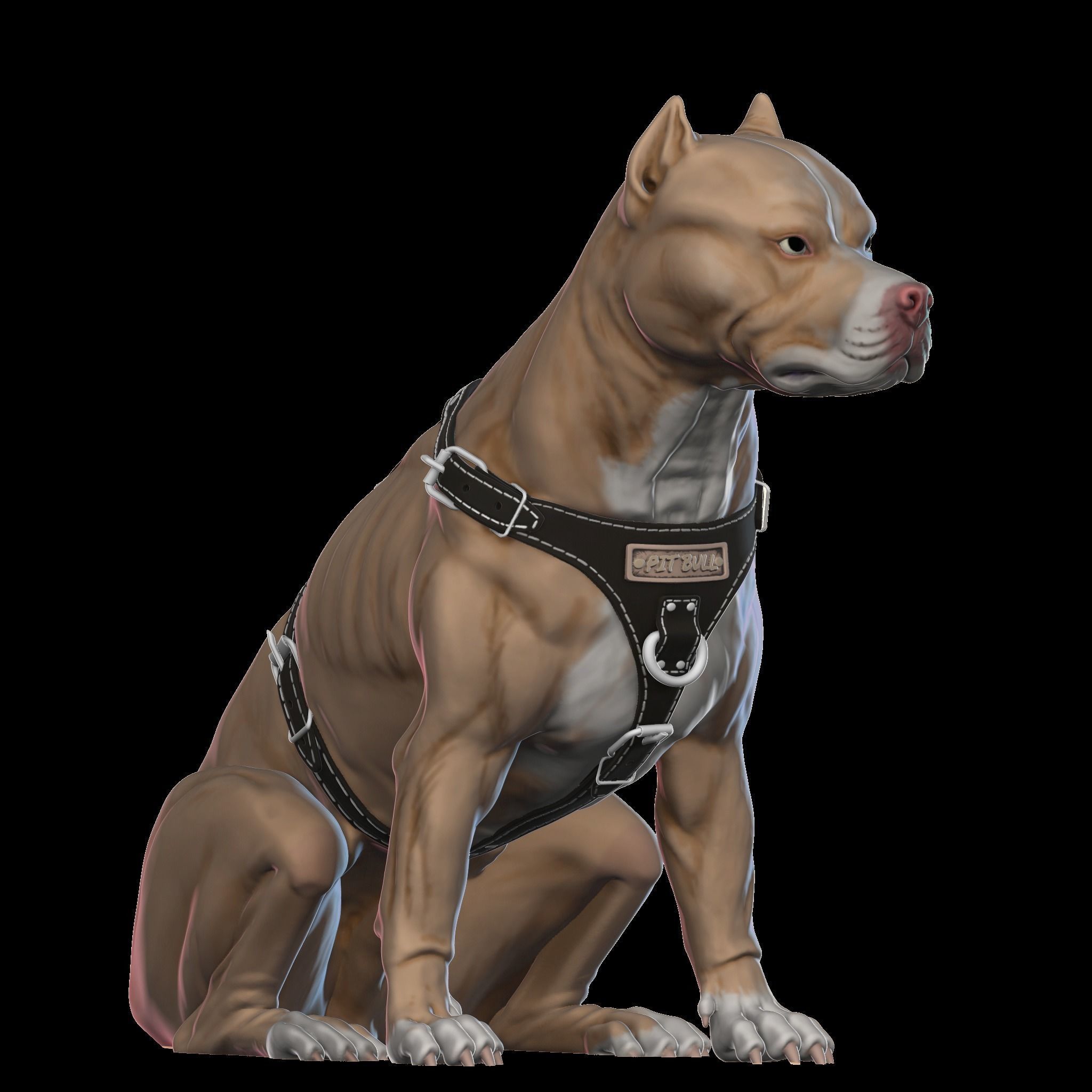 Pit Bull Terrier 3D printable seated version 3D print model_3