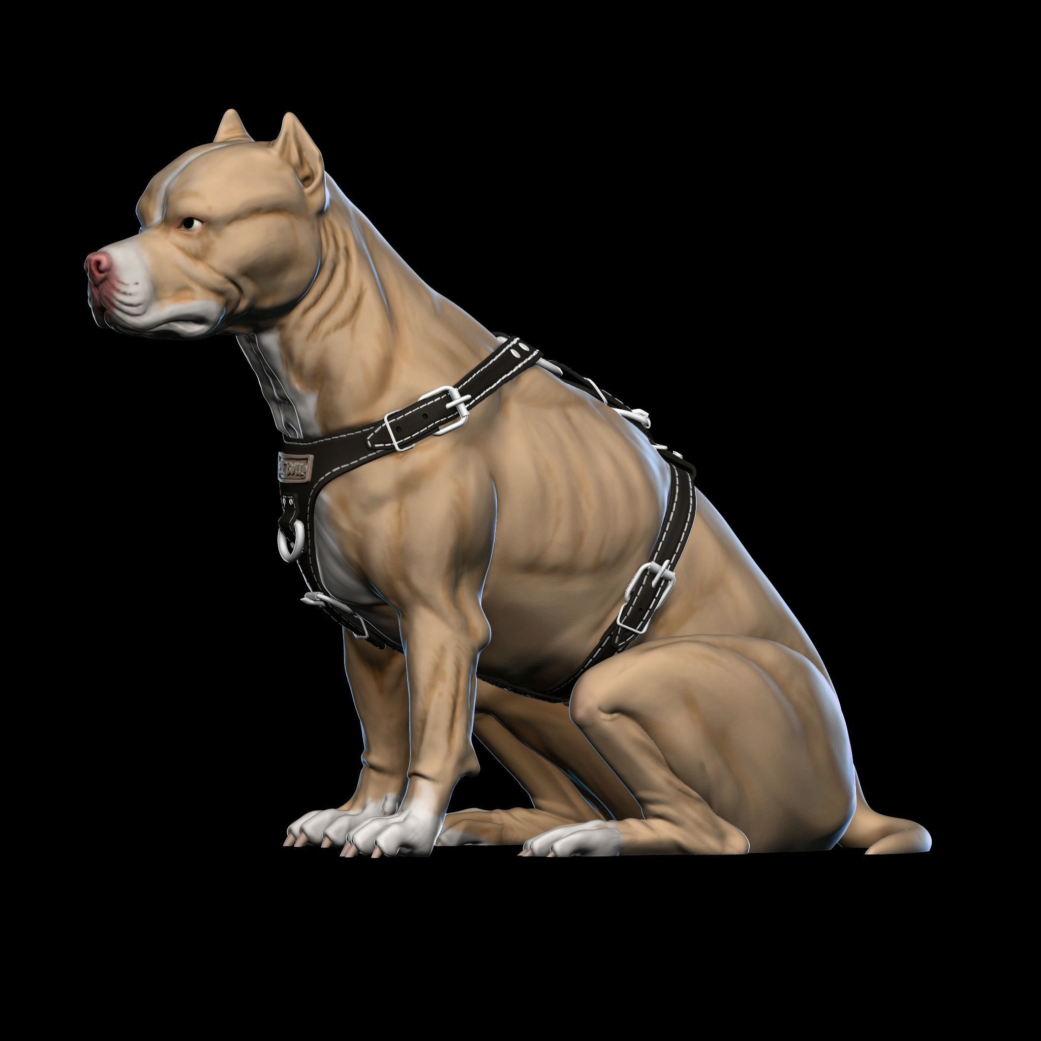 Pit Bull Terrier 3D printable seated version 3D print model_2