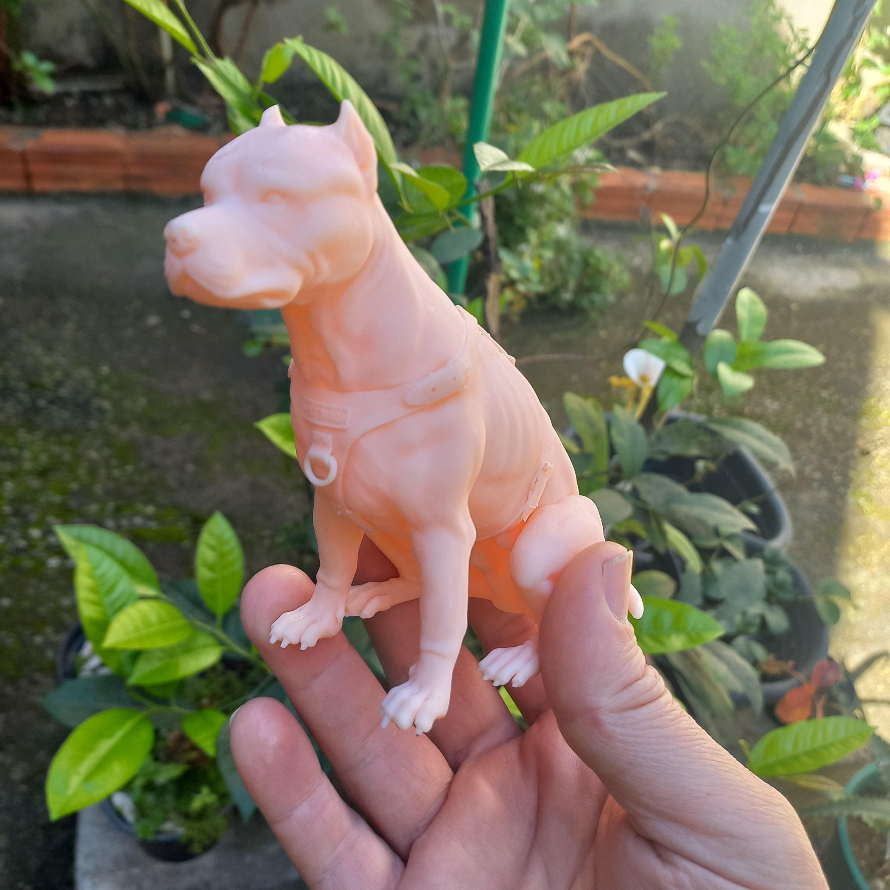 Pit Bull Terrier 3D printable seated version 3D print model_5