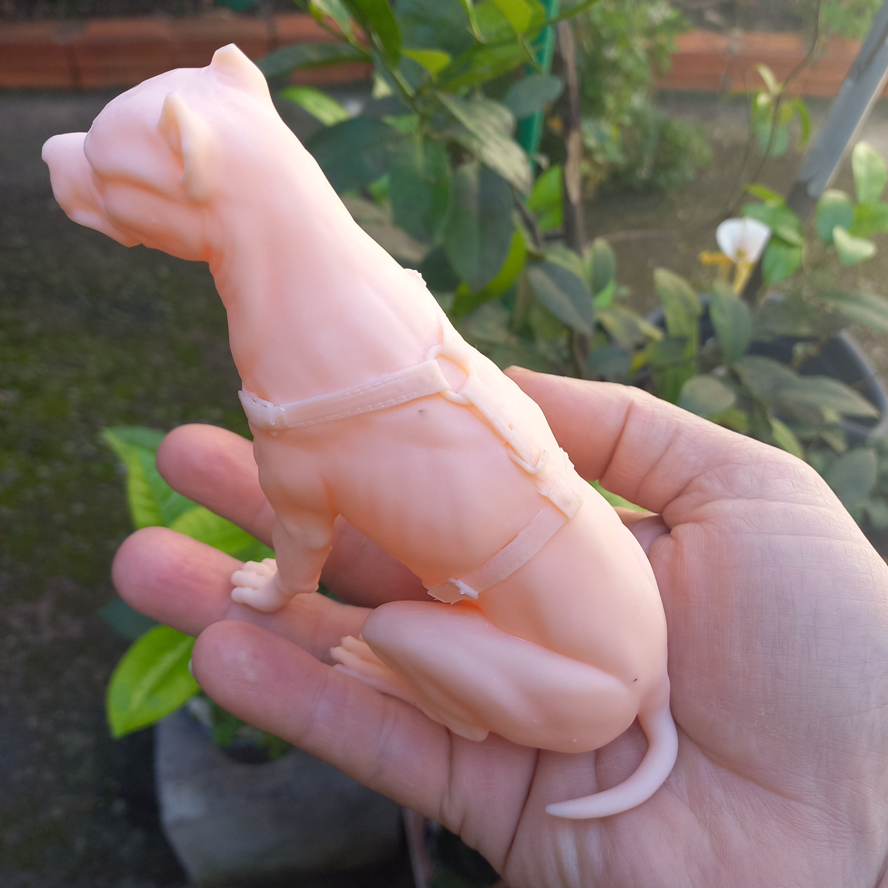 Pit Bull Terrier 3D printable seated version 3D print model_6