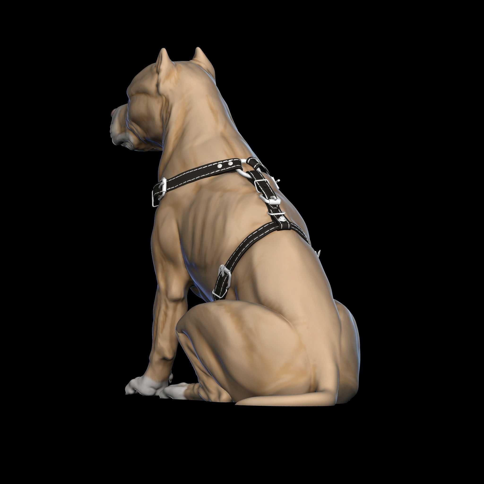 Pit Bull Terrier 3D printable seated version 3D print model_4