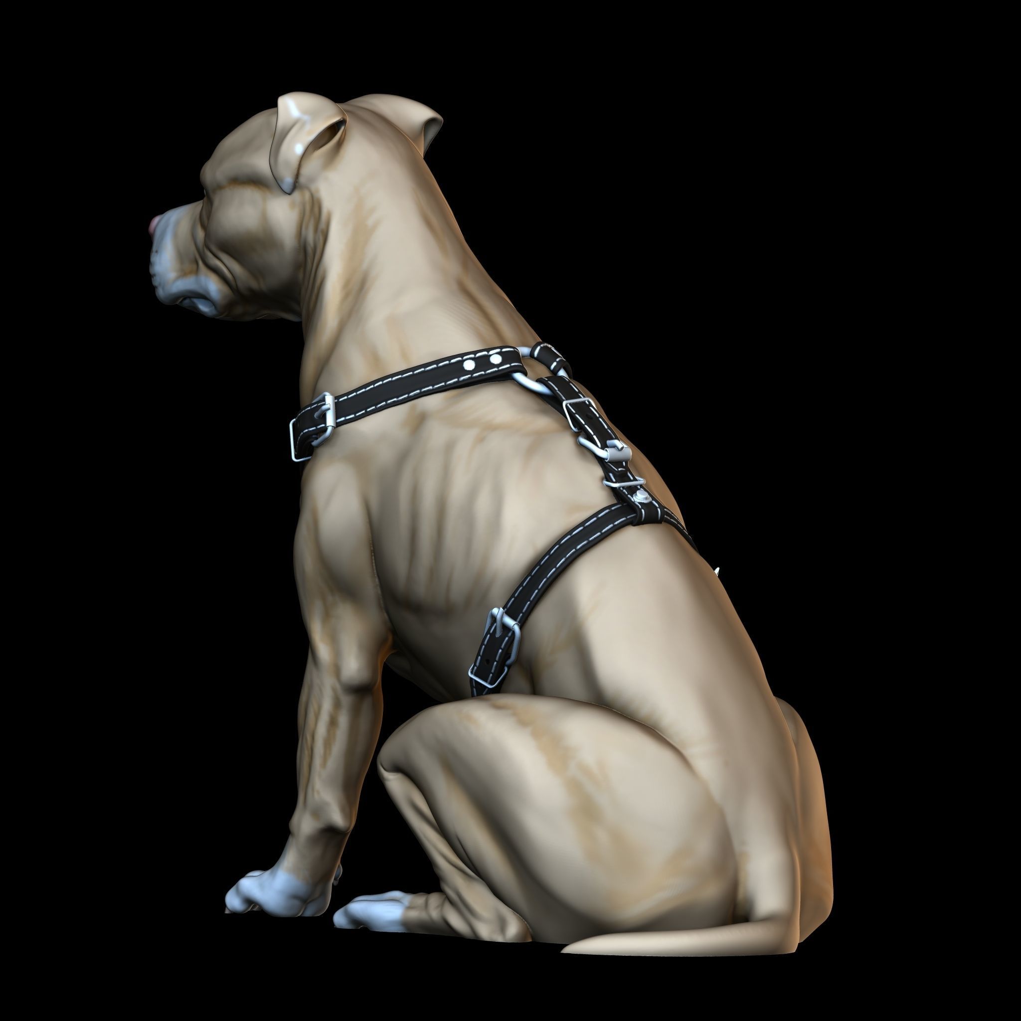 Pit Bull Terrier 3D printable seated version 3D print model_1