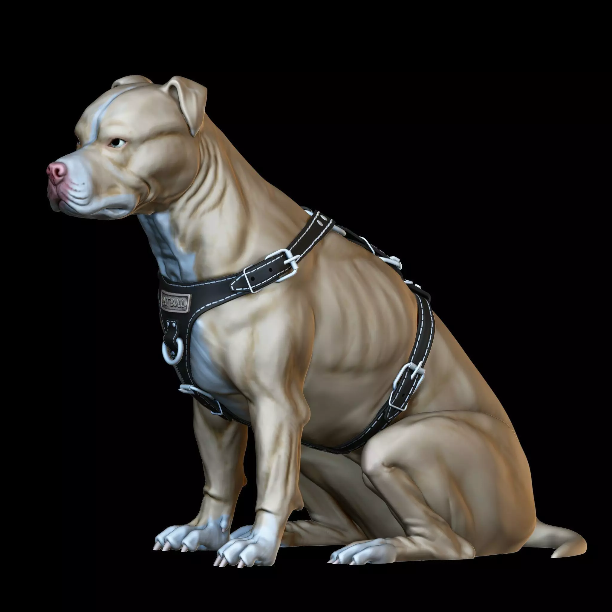 Pit Bull Terrier 3D printable seated version 3D print model_0