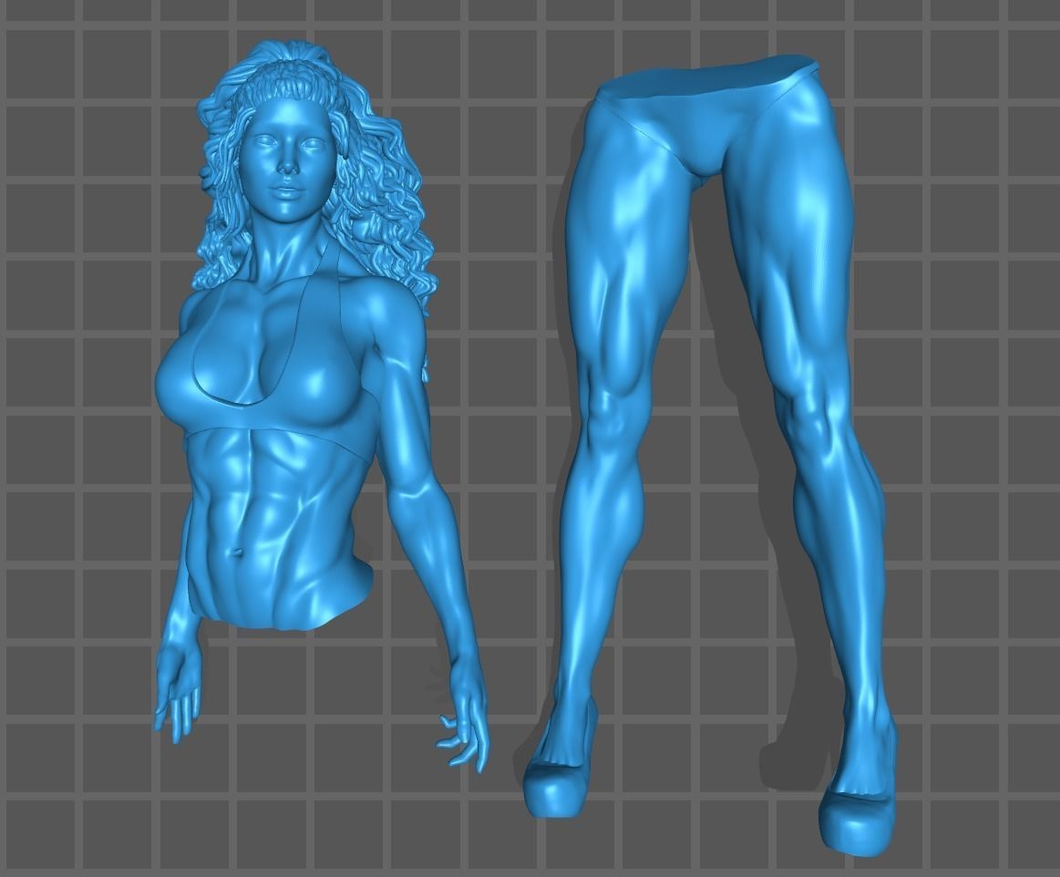 BODYBUILDING WOMAN 4 3D print model_4