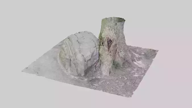 Tree and Rock - Photoscan 3D model - Varying LOD