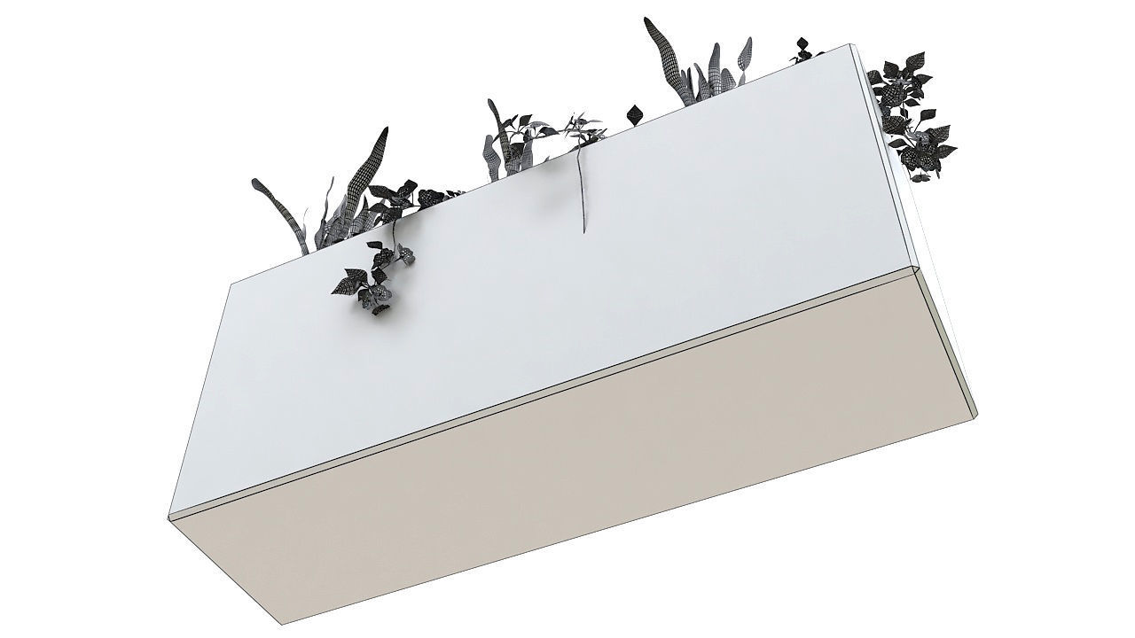 Concrete planter with plants 3D model_9