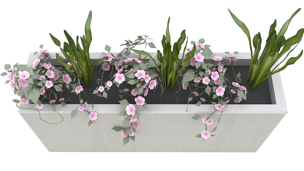 Concrete planter with plants 3D model_5