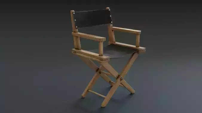 Director Chair
