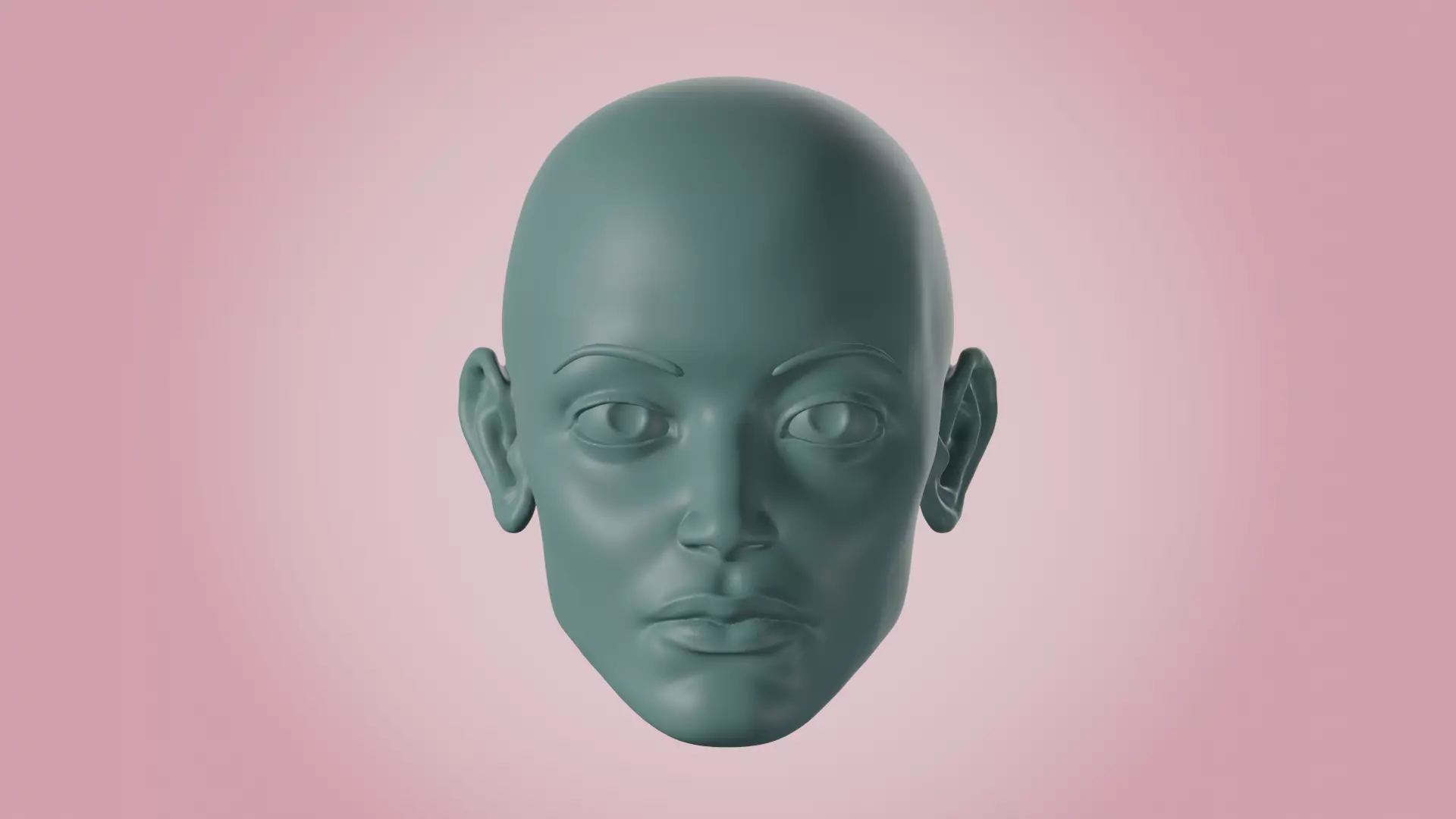 Female Head 01 - Human Face Anatomy Base Mesh 3D model