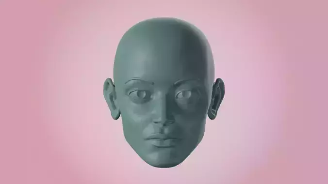 Female Head 01 - Human Face Anatomy Base Mesh