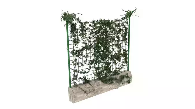 Moss Wire Chain Link Fence