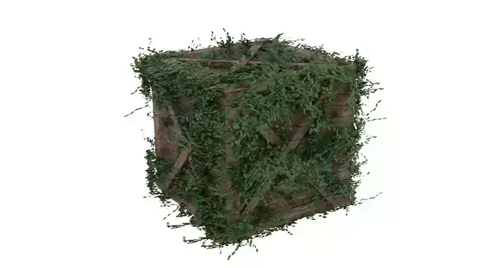 Moss Crate 
