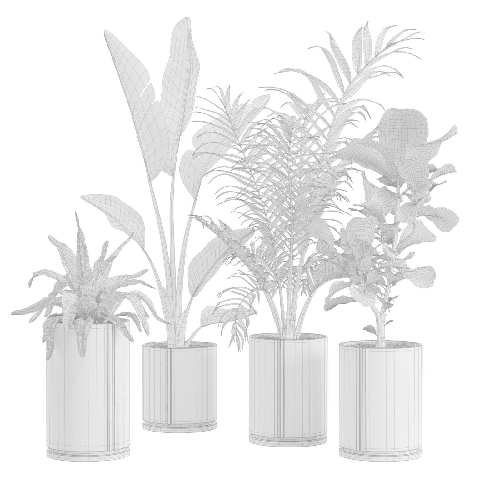 Indoor Plants Pack 27 3D model_1