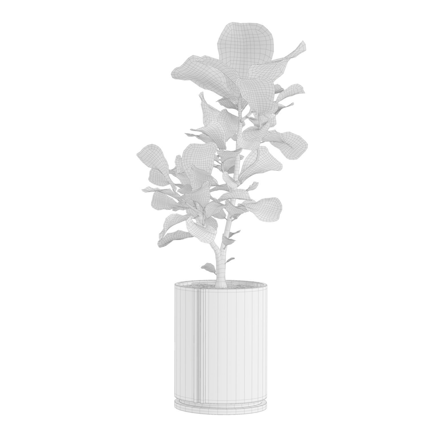 Indoor Plants Pack 27 3D model_4