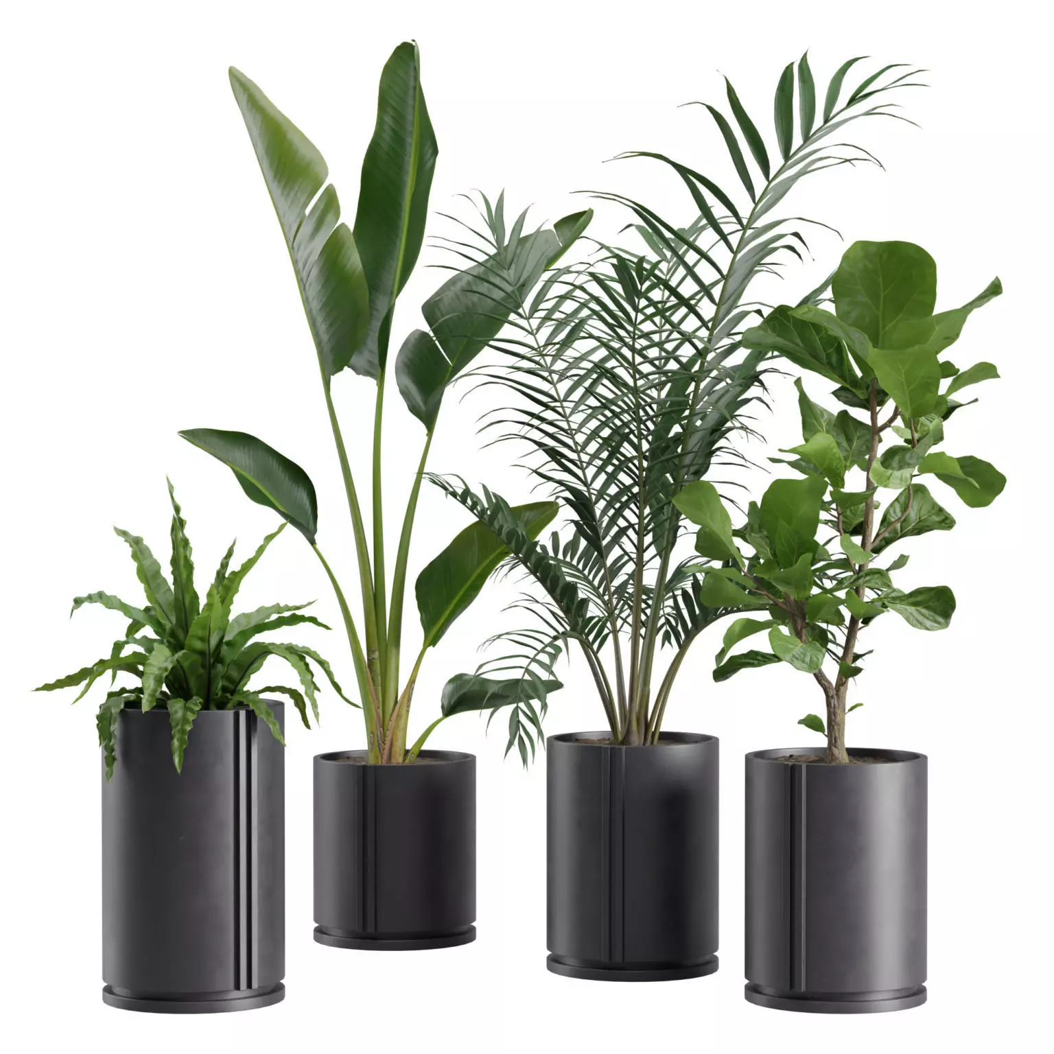 Indoor Plants Pack 27 3D model_0
