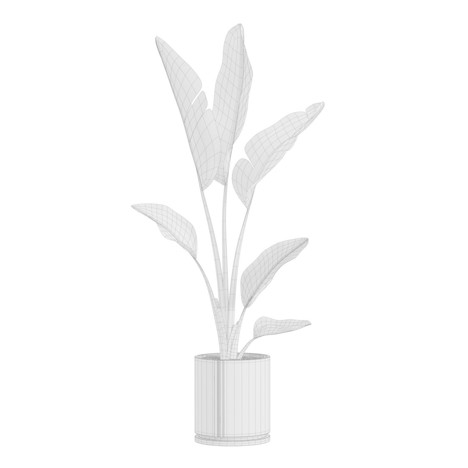 Indoor Plants Pack 27 3D model_6