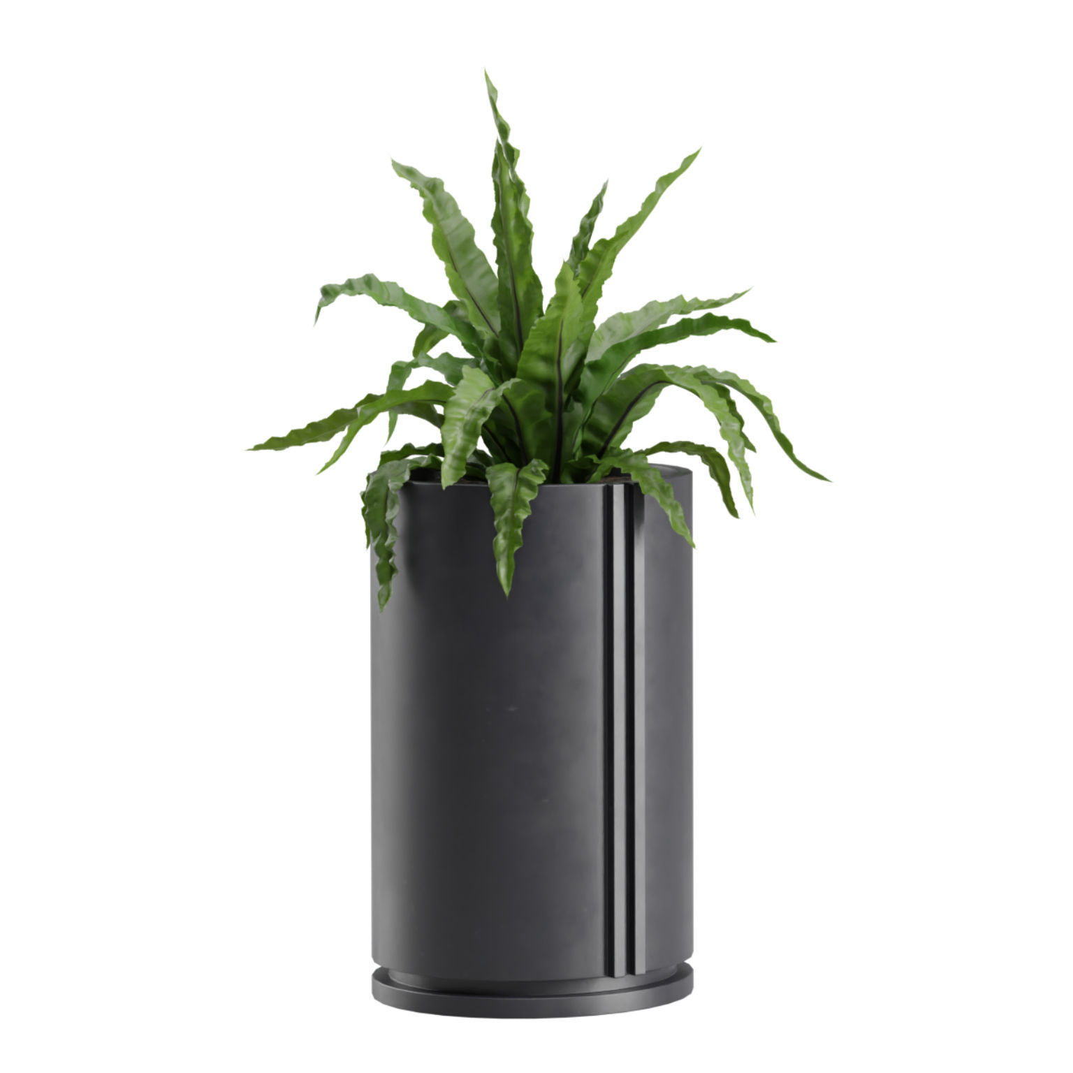 Indoor Plants Pack 27 3D model_9