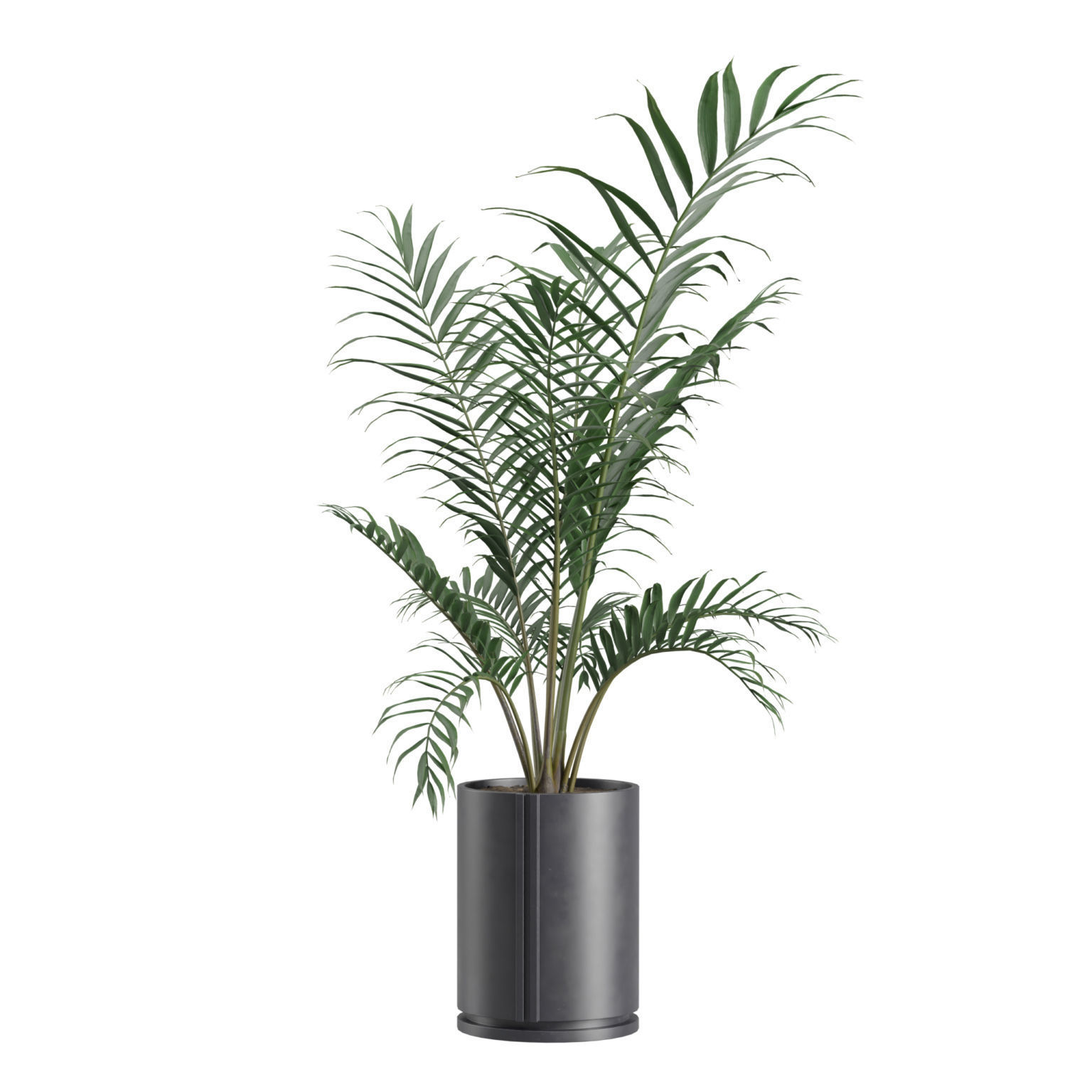 Indoor Plants Pack 27 3D model_7