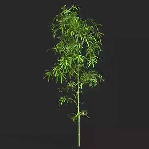 Realistic Game Ready Bamboo Tree 01 Low-poly 3D model