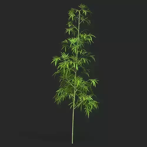 Realistic Game Ready Bamboo Tree 02 Low-poly 3D model