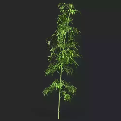 Realistic Game Ready Bamboo Tree 03