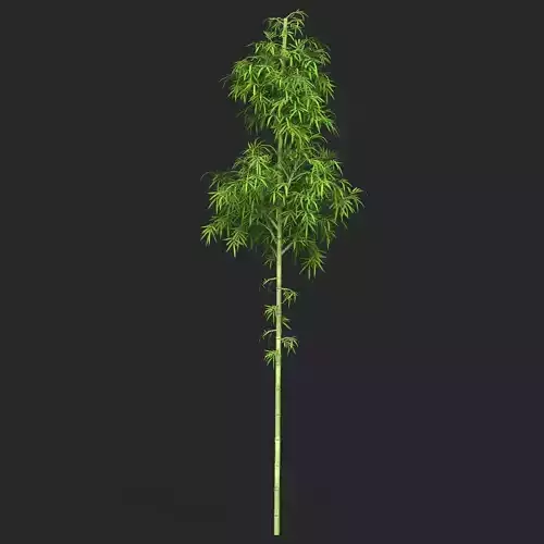 Realistic Game Ready Bamboo Tree 05