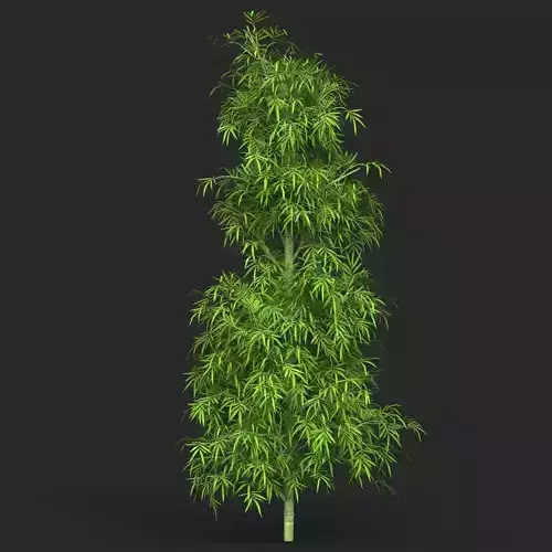 Realistic Game Ready Bamboo Tree 09