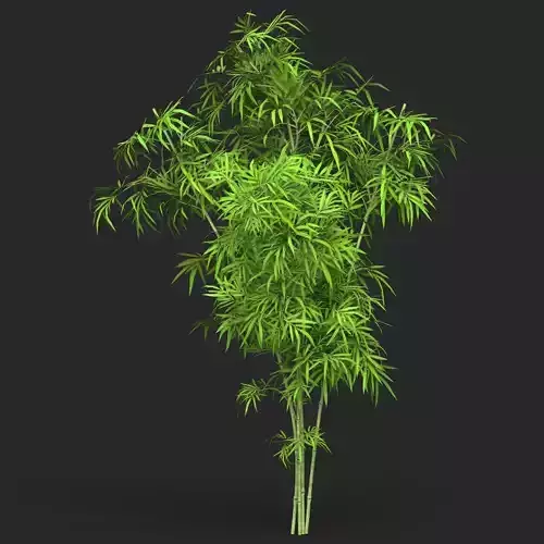 Realistic Game Ready Bamboo Tree 11