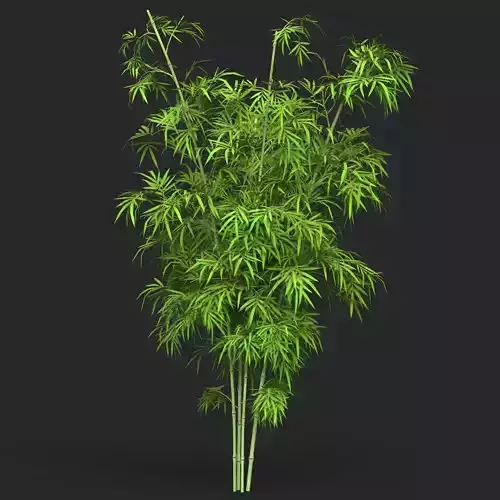Realistic Game Ready Bamboo Tree 12