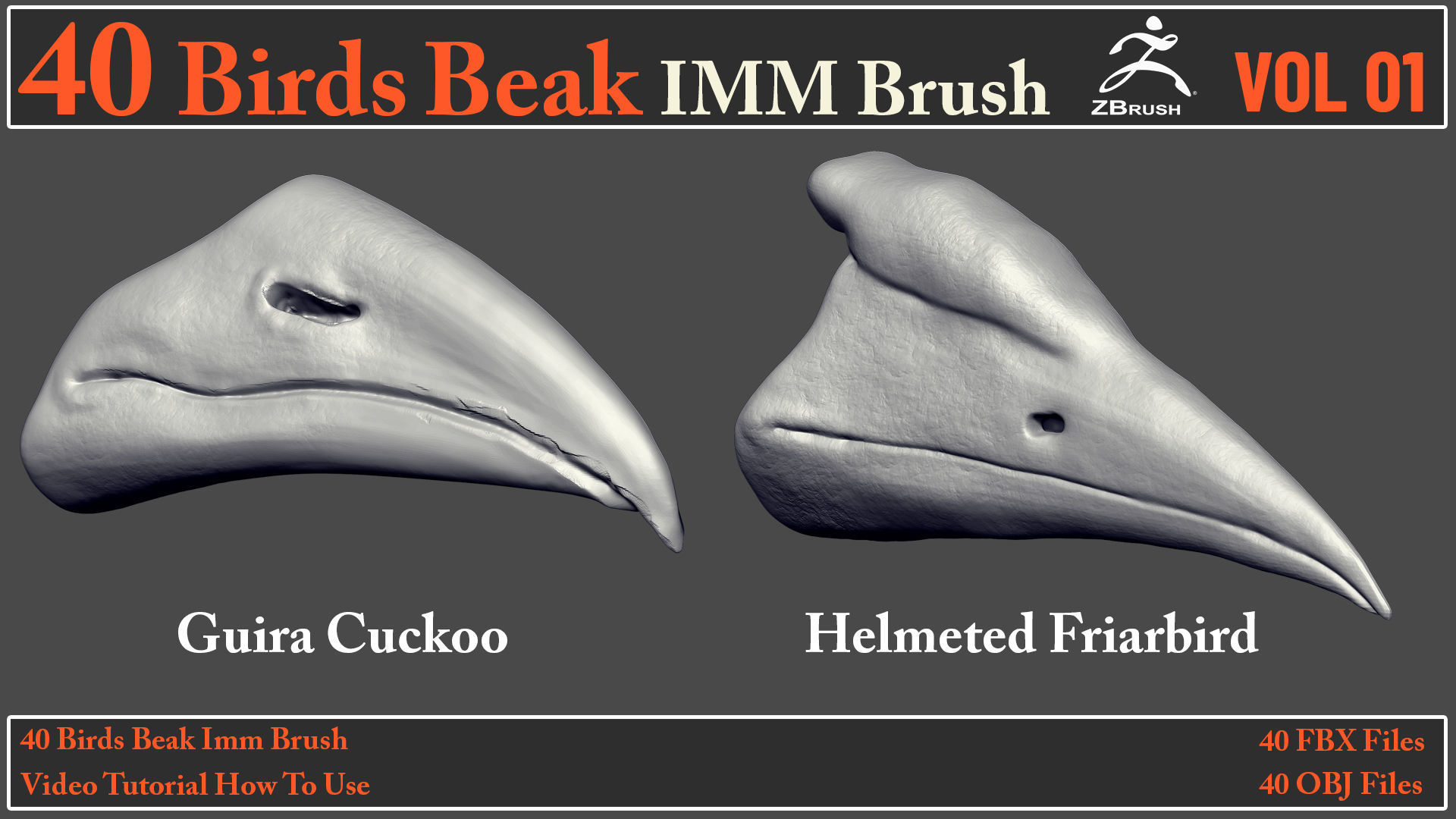 40 Birds Beak IMM Brush - Video How To Use 3D model_7
