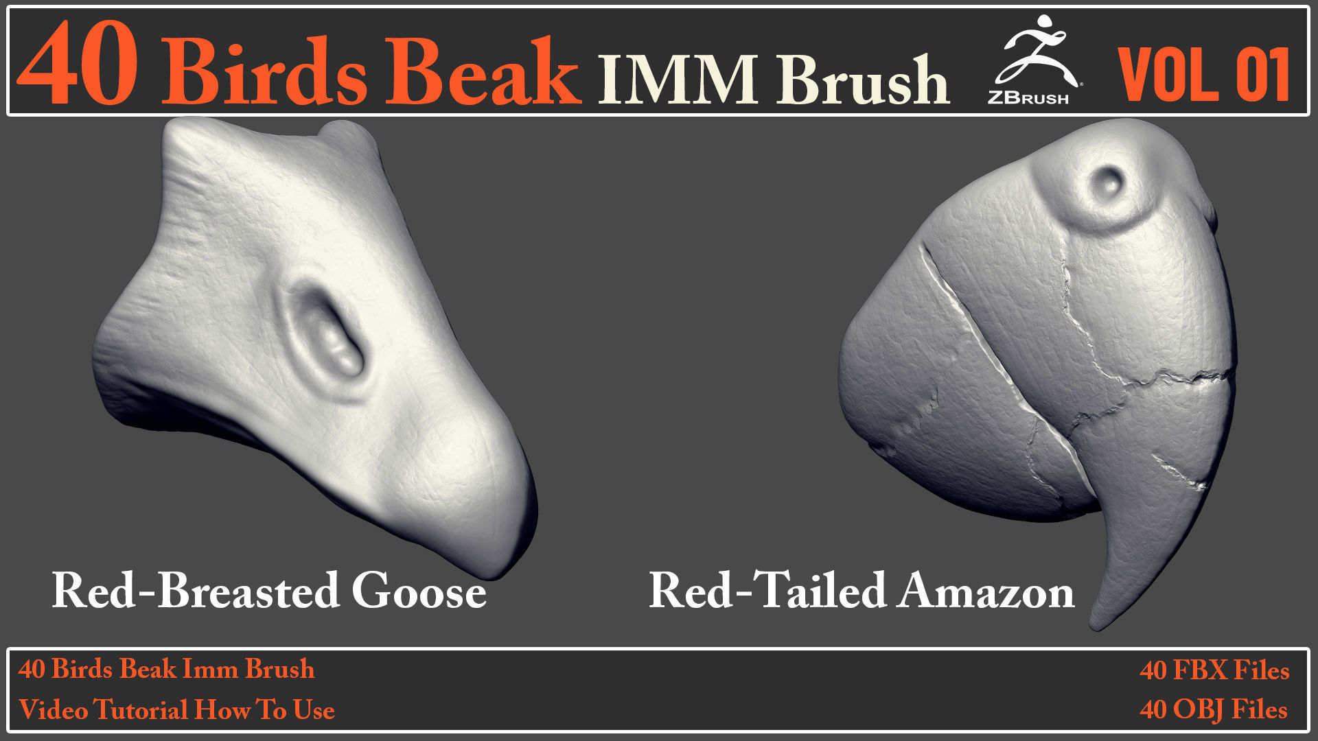 40 Birds Beak IMM Brush - Video How To Use 3D model_18