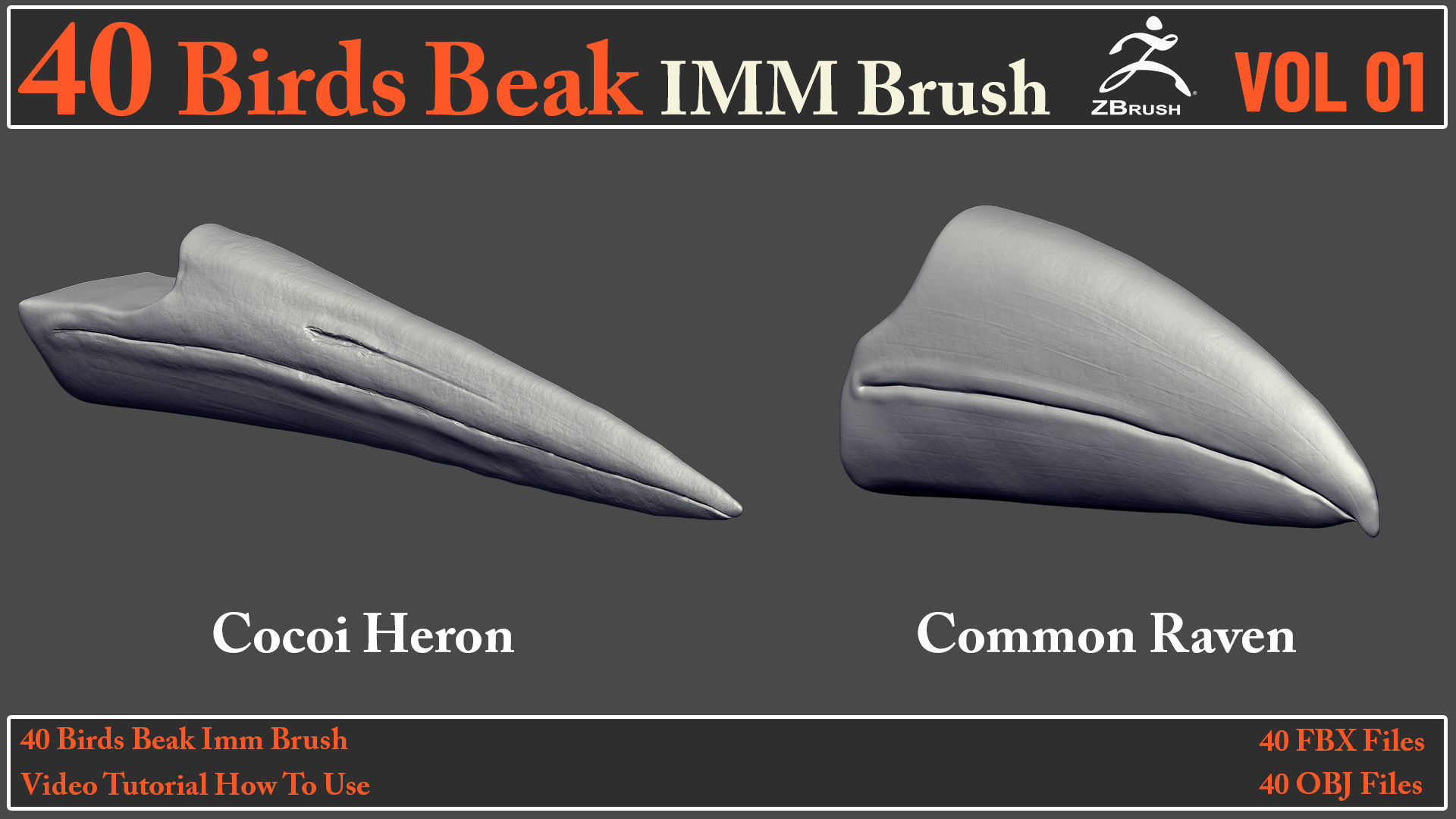 40 Birds Beak IMM Brush - Video How To Use 3D model_4
