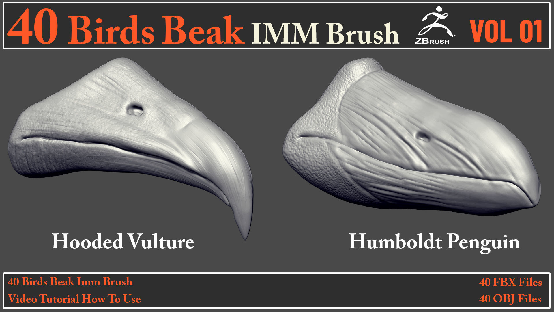 40 Birds Beak IMM Brush - Video How To Use 3D model_9