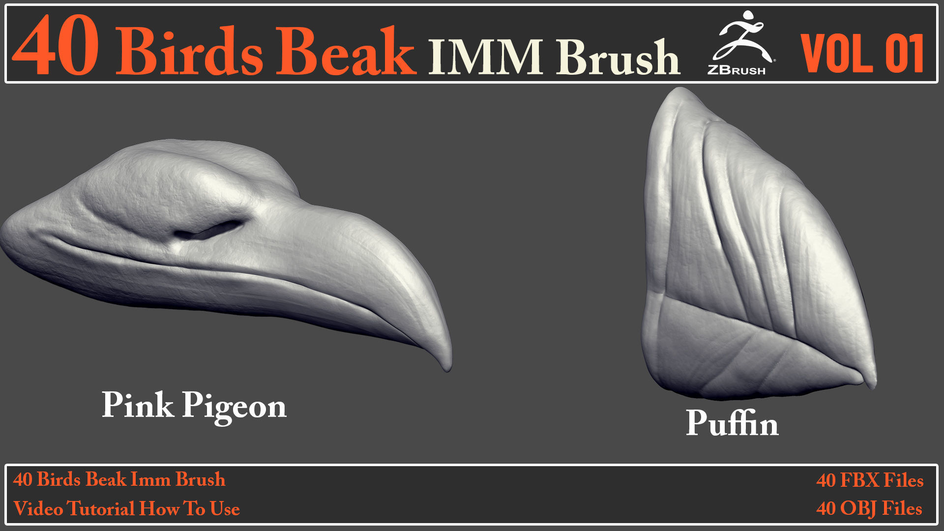 40 Birds Beak IMM Brush - Video How To Use 3D model_17