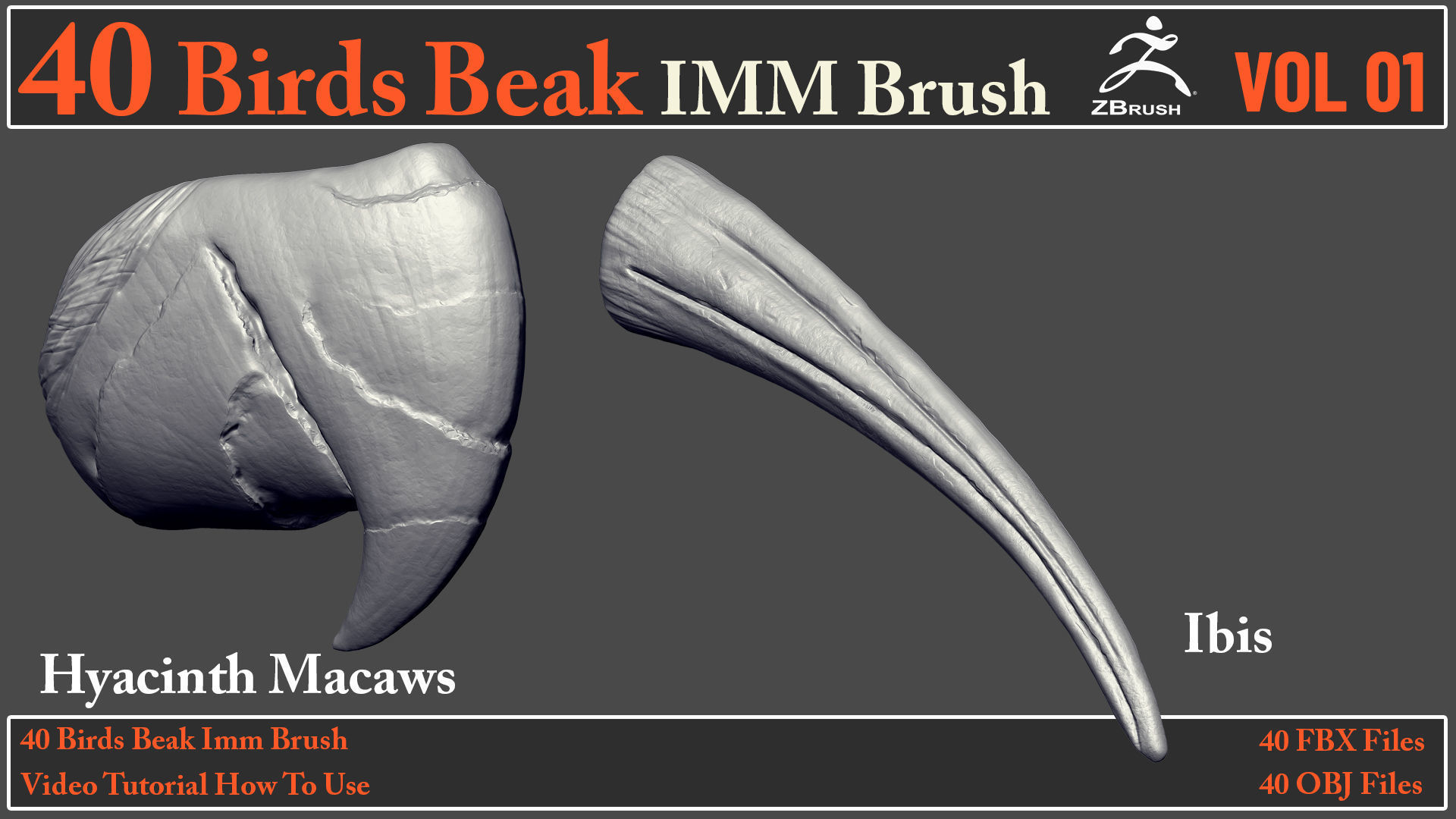 40 Birds Beak IMM Brush - Video How To Use 3D model_10