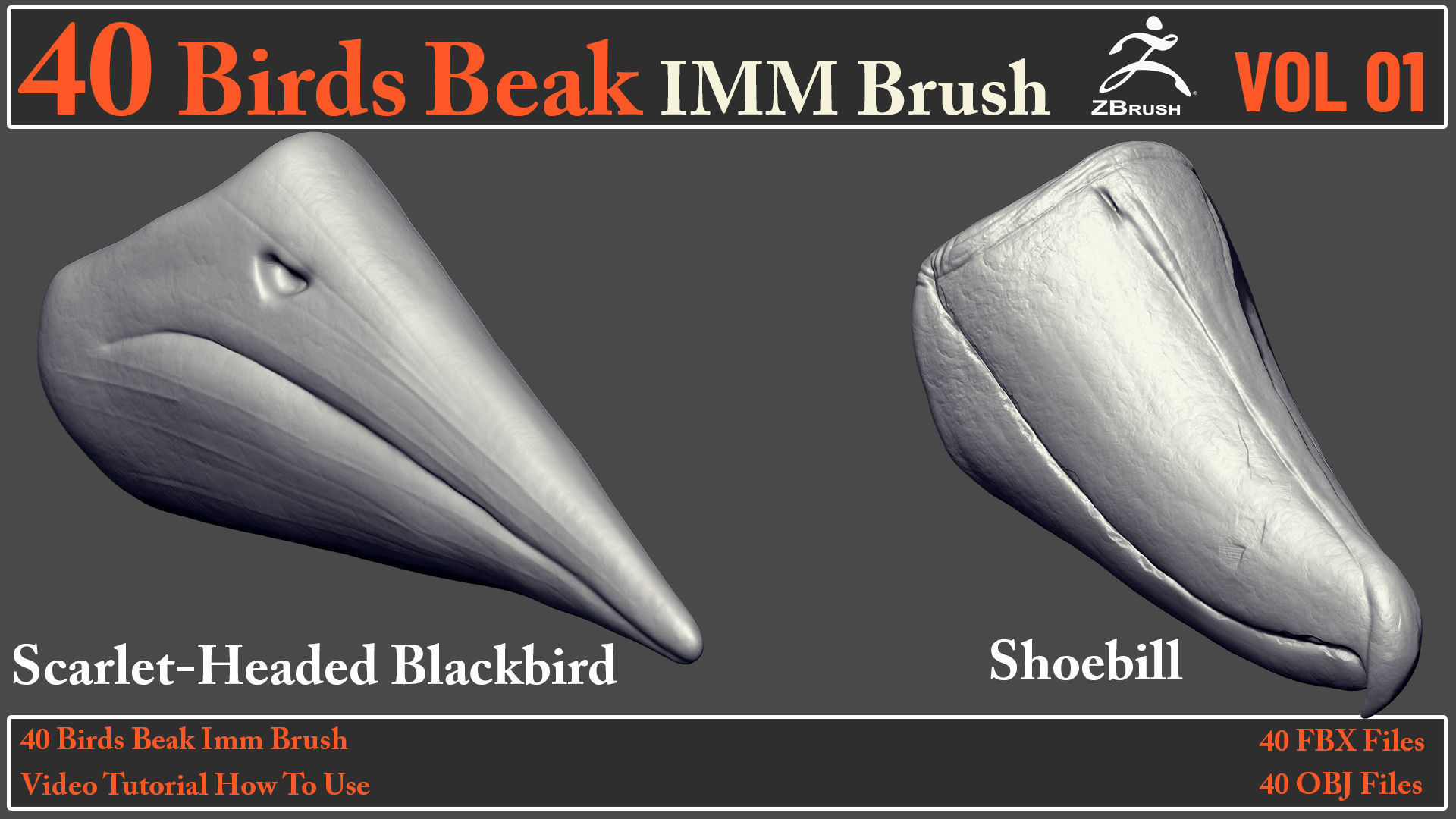 40 Birds Beak IMM Brush - Video How To Use 3D model_20