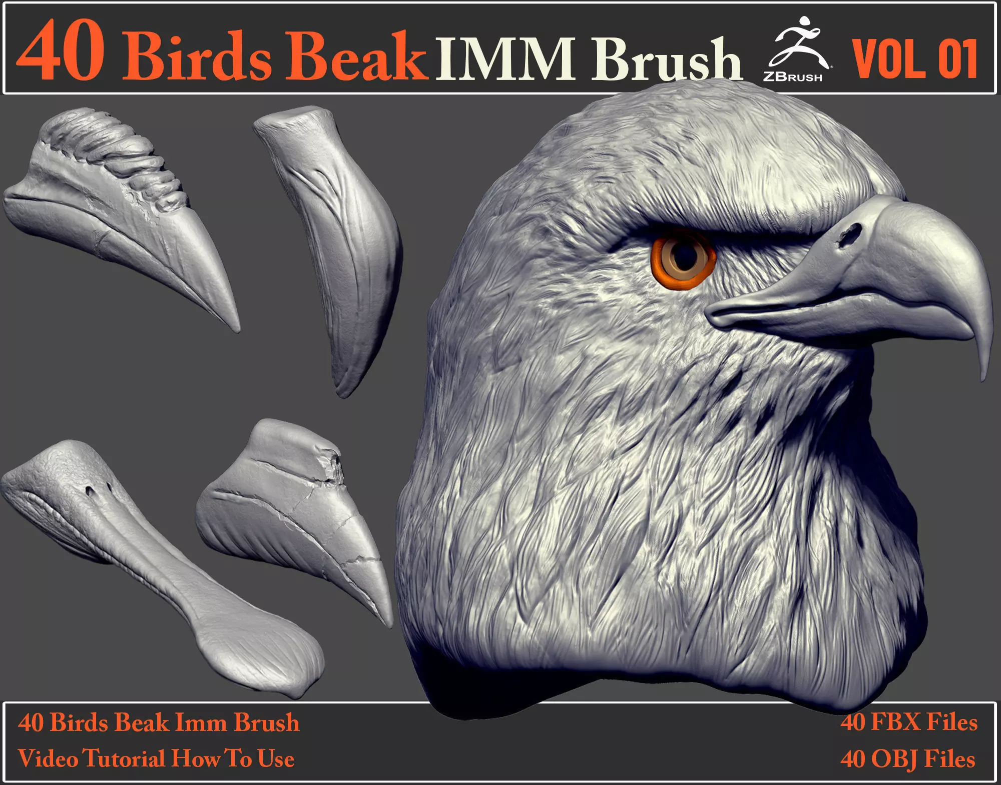 40 Birds Beak IMM Brush - Video How To Use 3D model_0