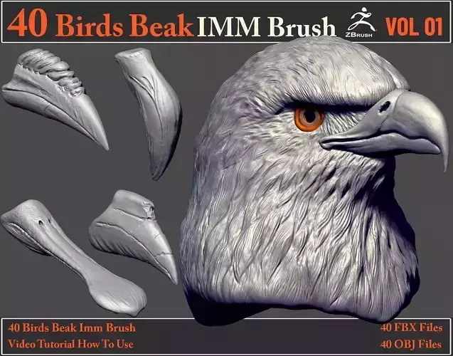 40 Birds Beak IMM Brush - Video How To Use 3D model