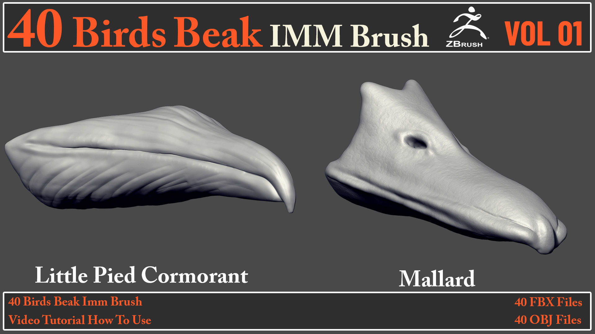 40 Birds Beak IMM Brush - Video How To Use 3D model_12