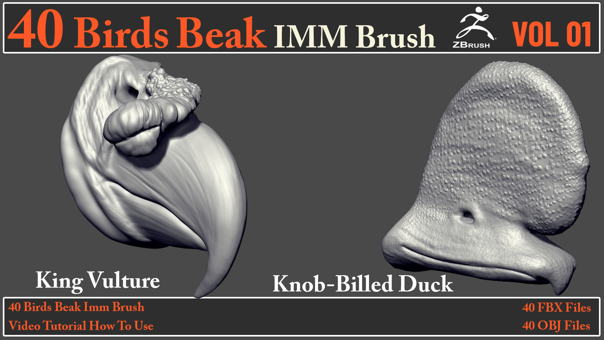 40 Birds Beak IMM Brush - Video How To Use 3D model_11