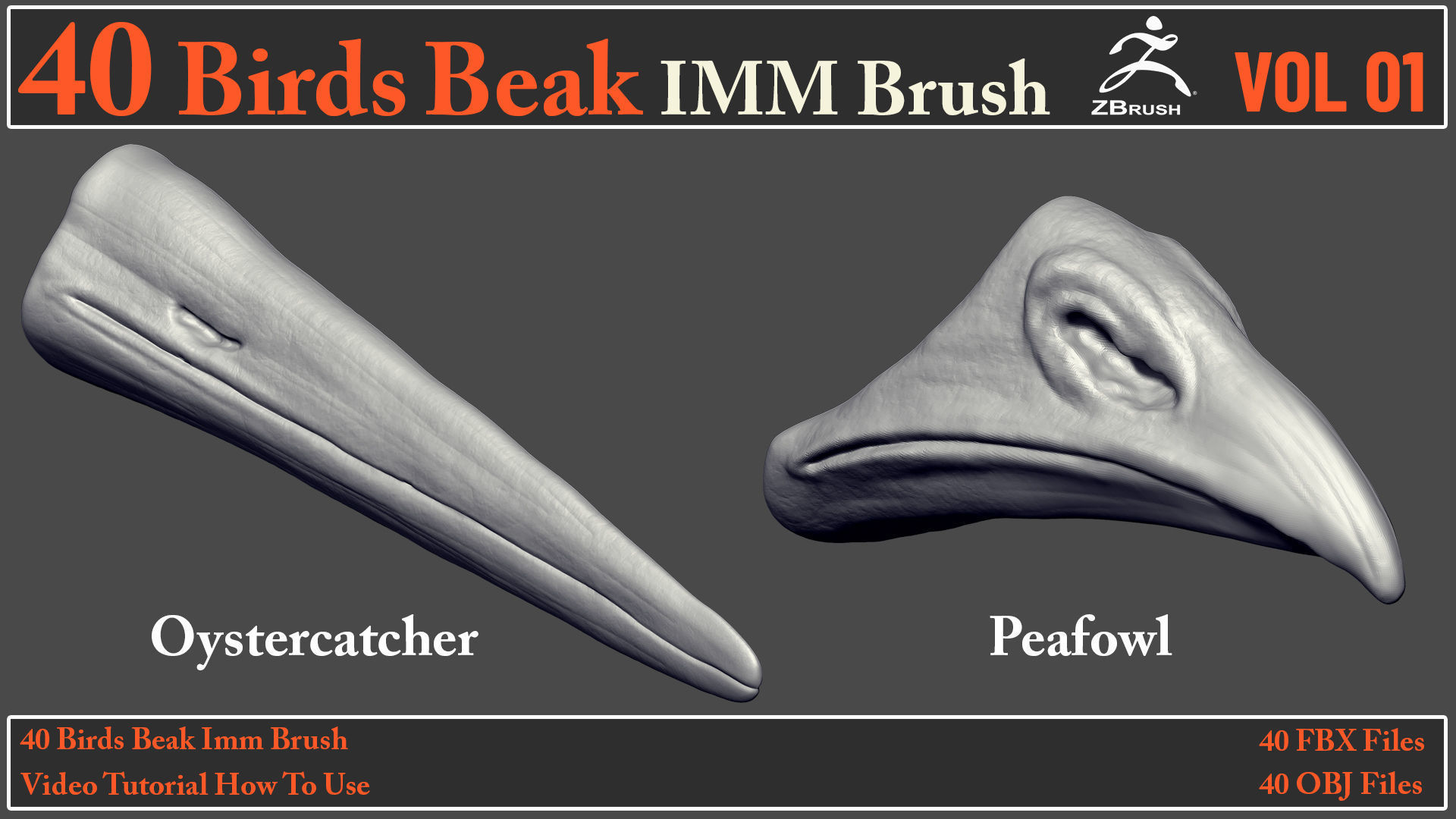 40 Birds Beak IMM Brush - Video How To Use 3D model_15