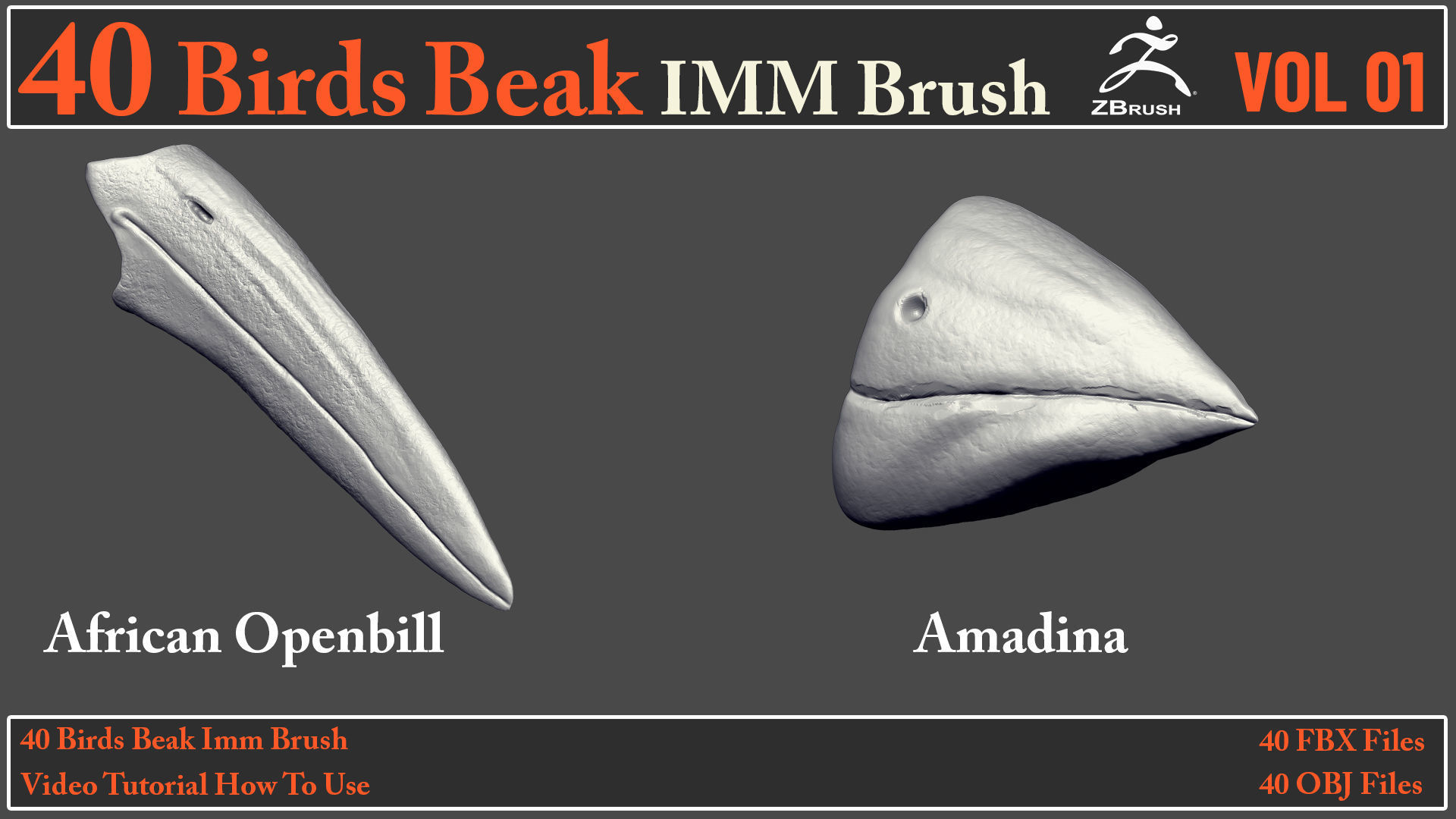 40 Birds Beak IMM Brush - Video How To Use 3D model_2