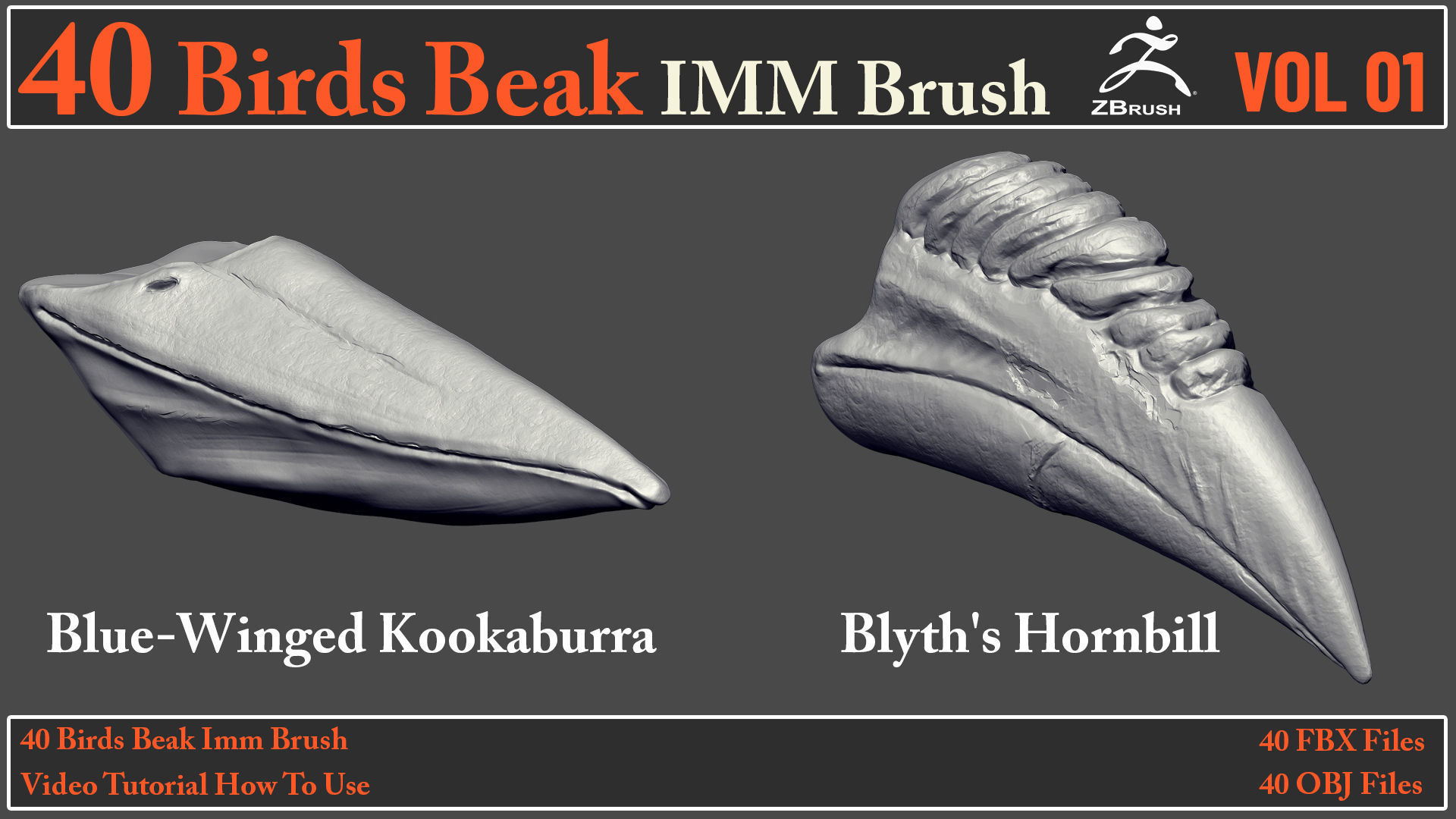 40 Birds Beak IMM Brush - Video How To Use 3D model_3