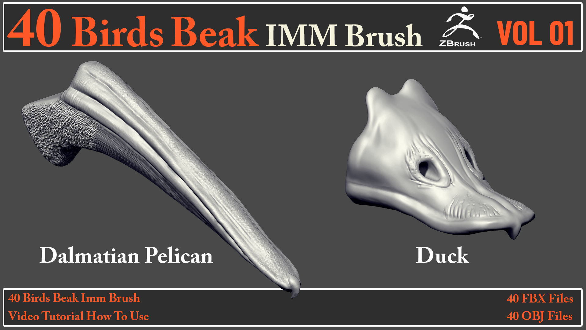 40 Birds Beak IMM Brush - Video How To Use 3D model_5