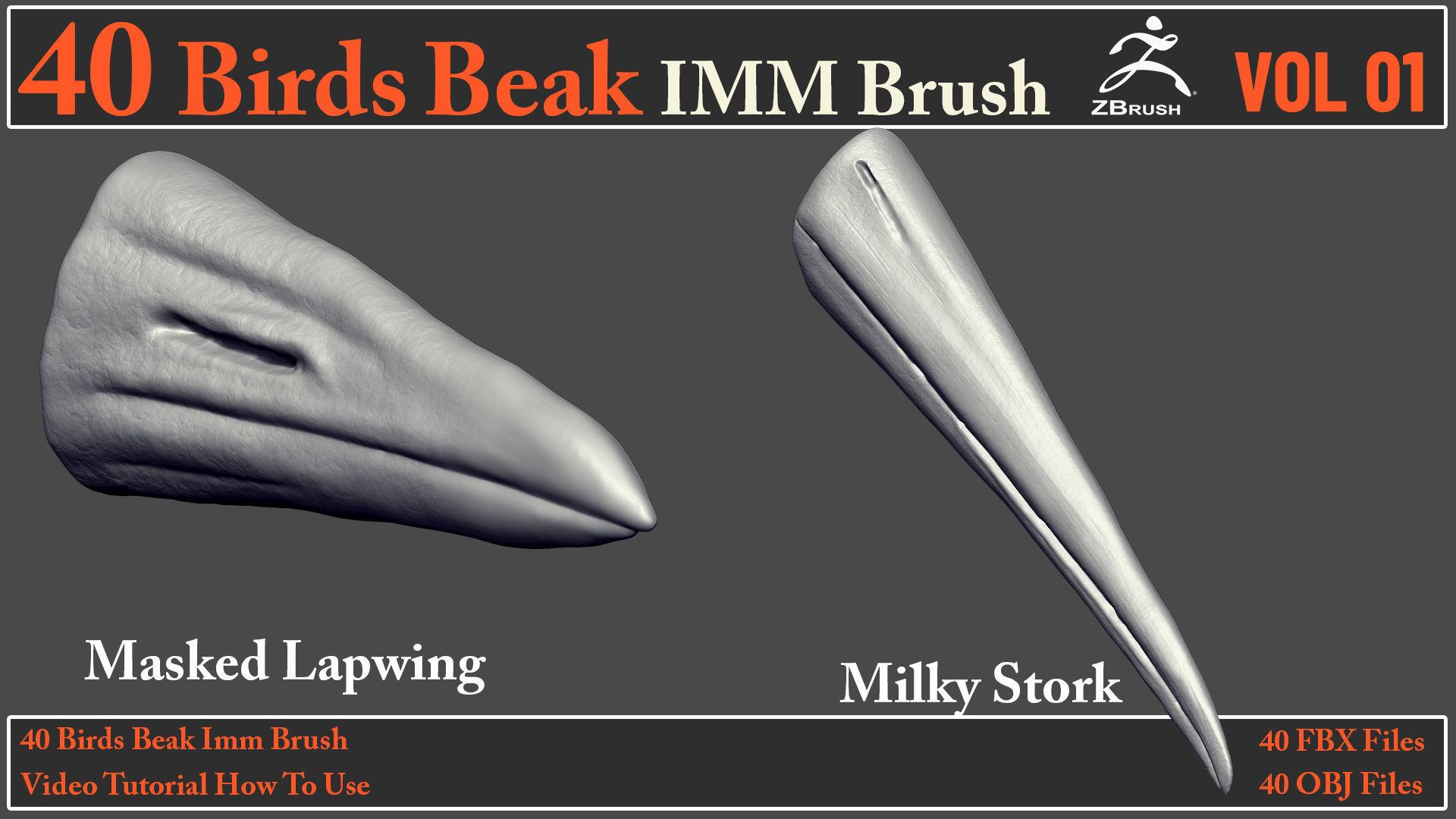 40 Birds Beak IMM Brush - Video How To Use 3D model_13