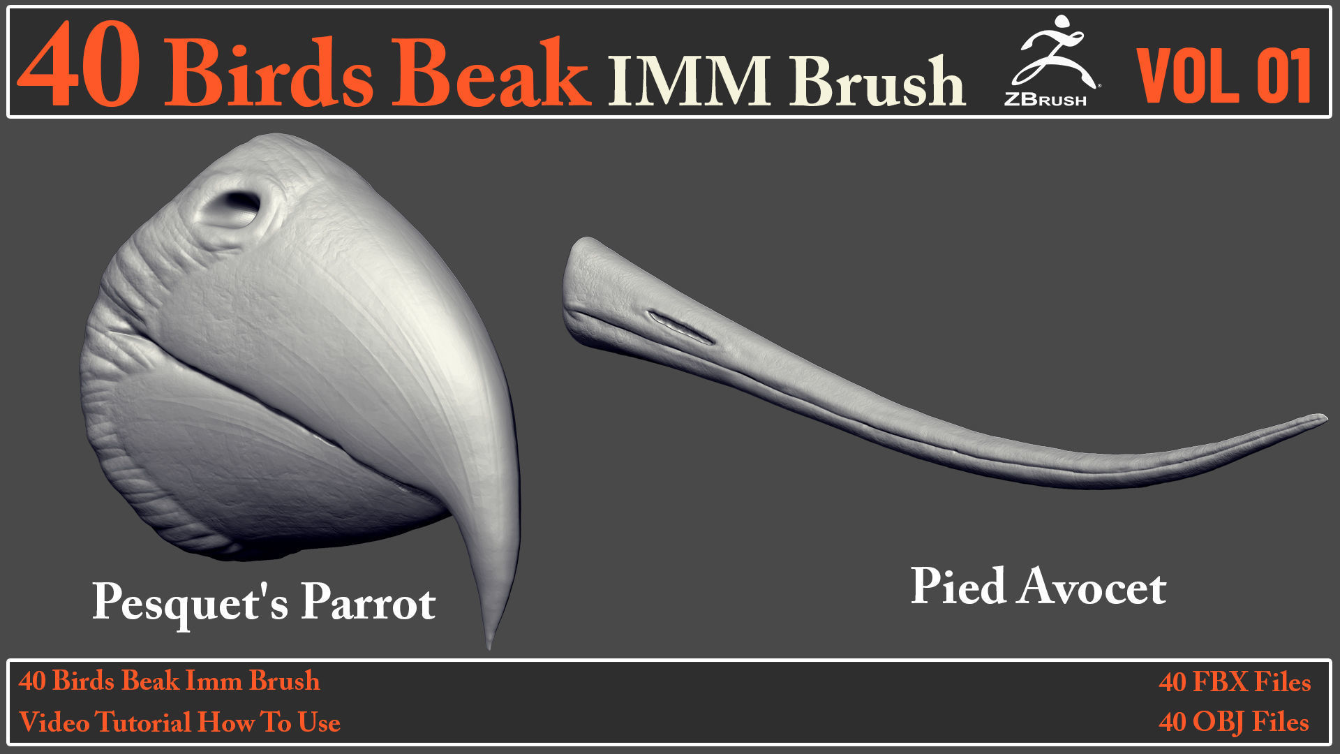 40 Birds Beak IMM Brush - Video How To Use 3D model_16
