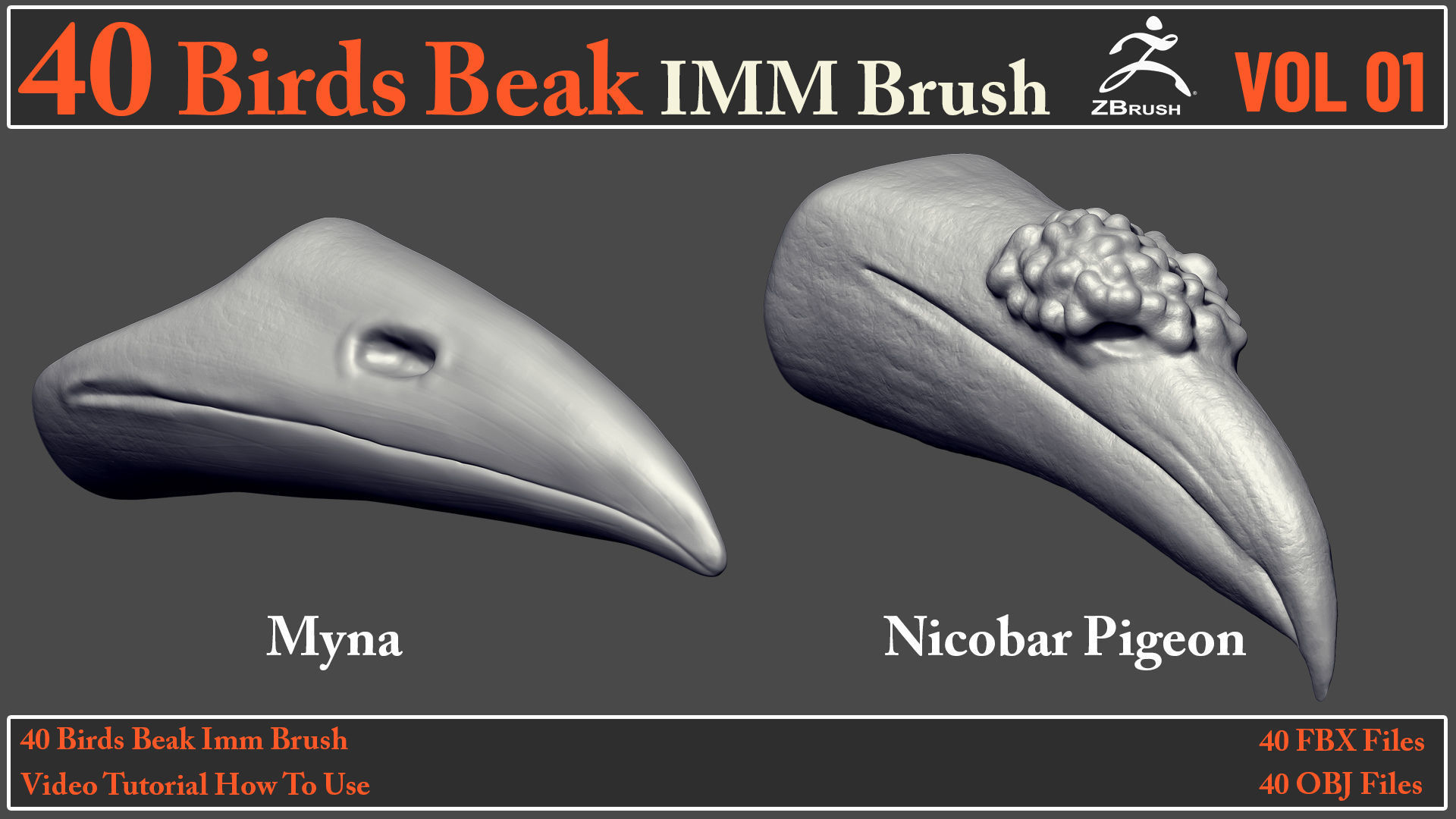 40 Birds Beak IMM Brush - Video How To Use 3D model_14