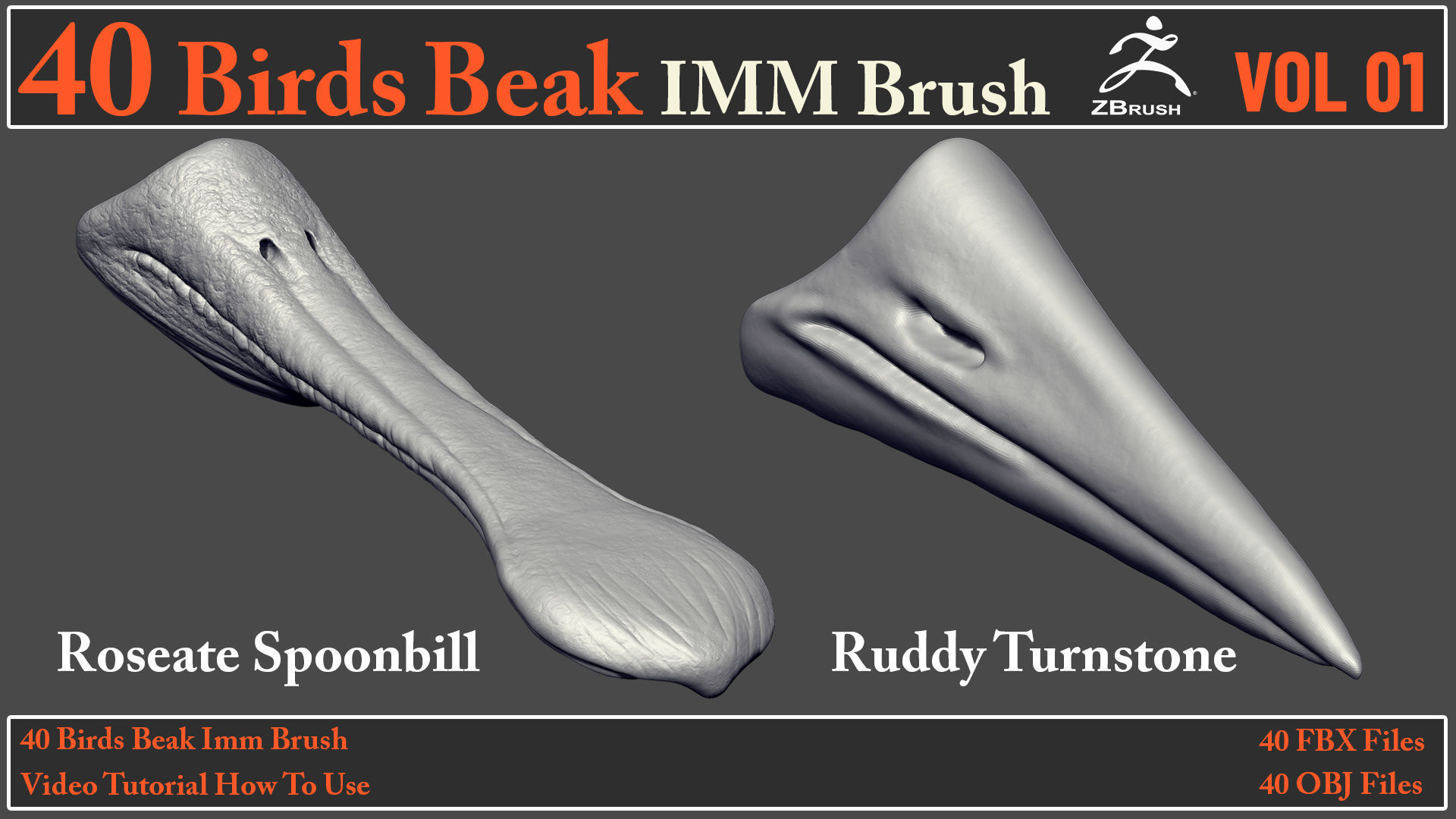 40 Birds Beak IMM Brush - Video How To Use 3D model_19