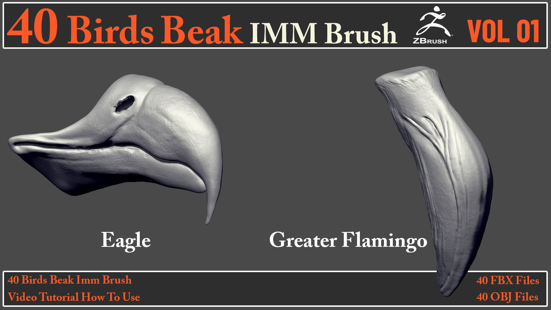 40 Birds Beak IMM Brush - Video How To Use 3D model_6