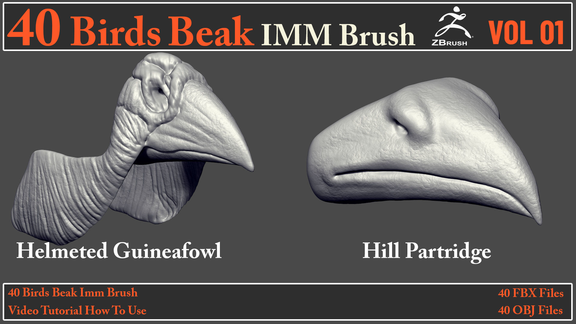 40 Birds Beak IMM Brush - Video How To Use 3D model_8